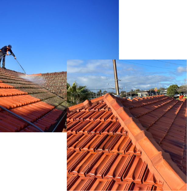 Untitled design (17) skylight roofing roof repairs and restorations