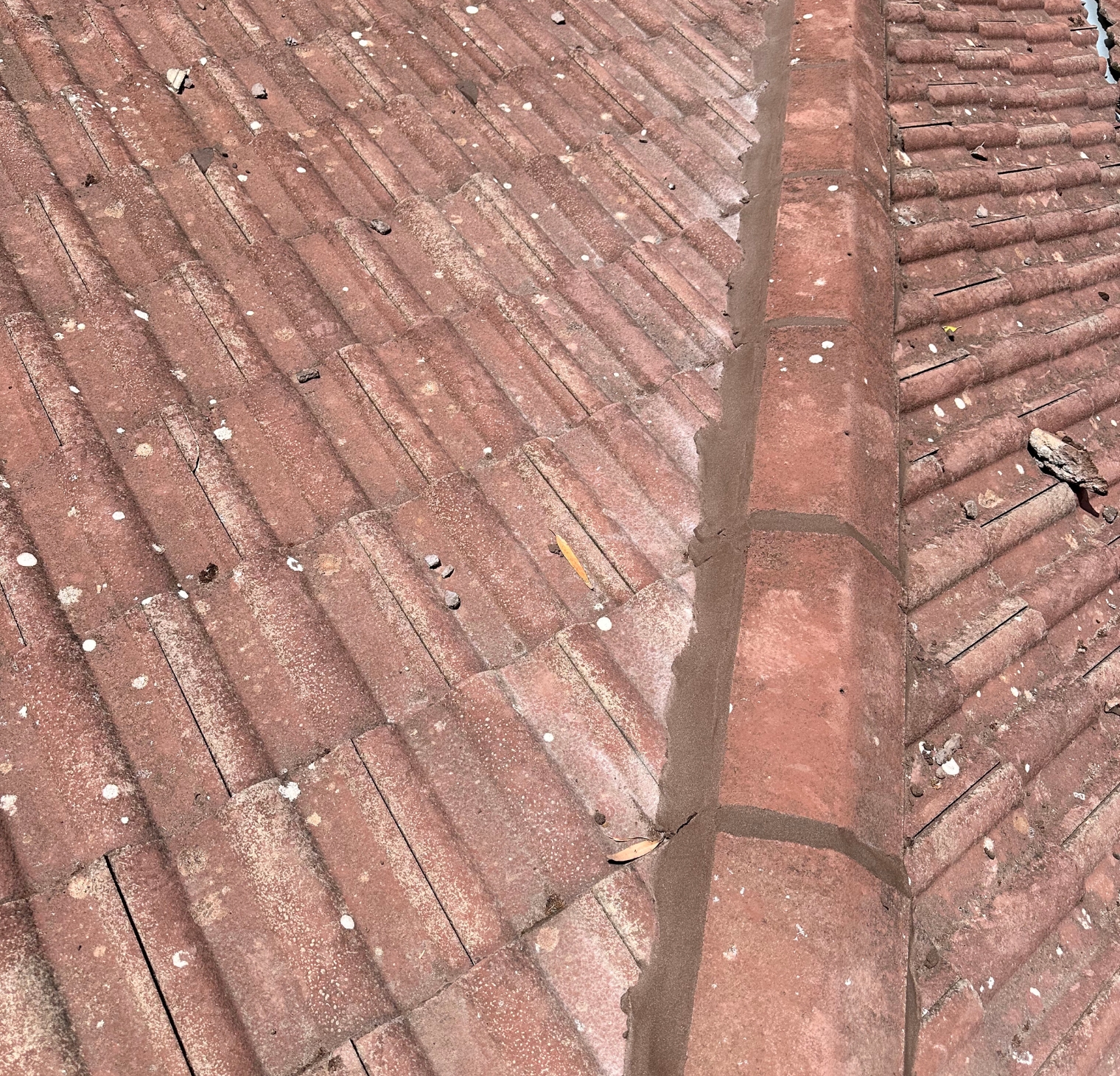 Roof Repointing Skylight Roofing