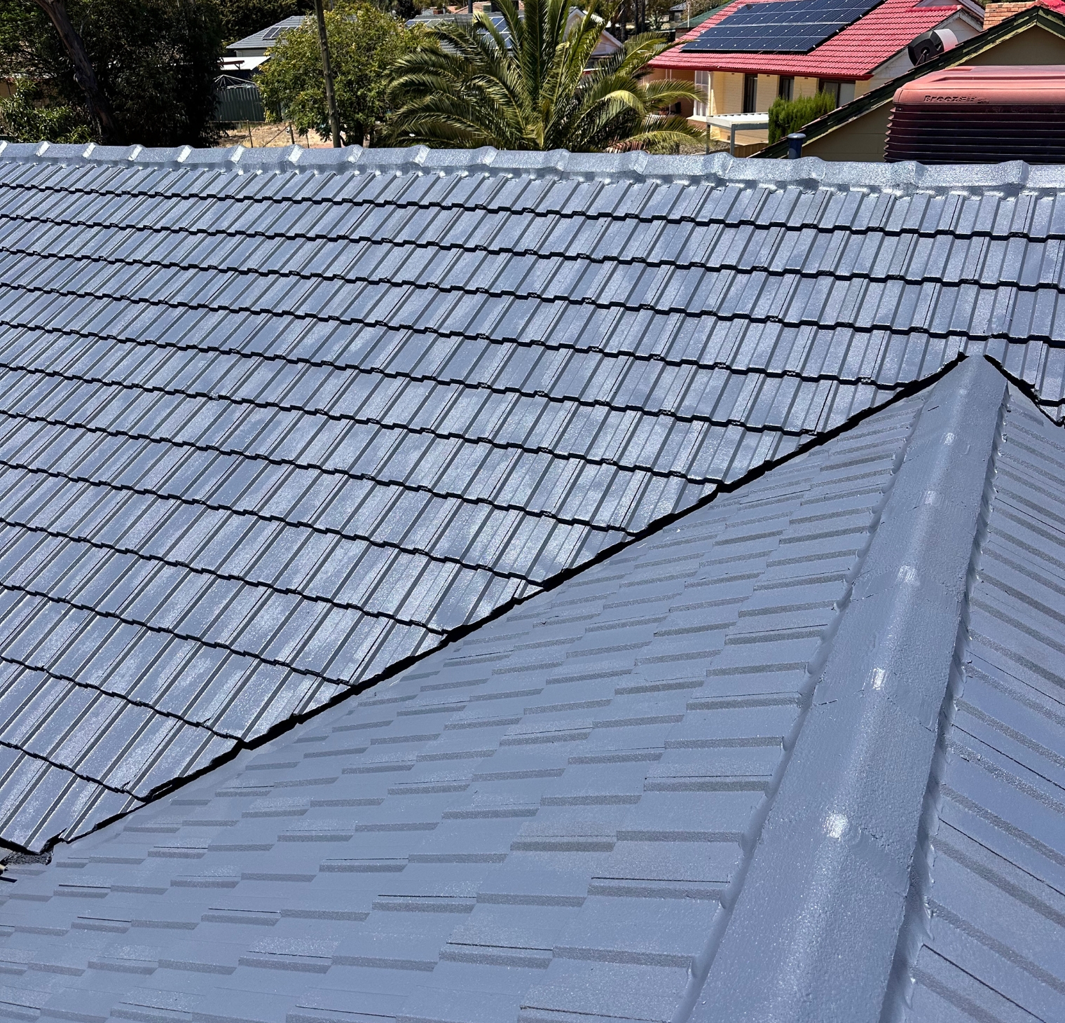 Skylight Roofing Roof Painting Adelaide